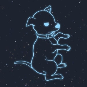 おおいぬ座の解説