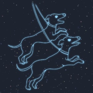 りょうけん座の解説