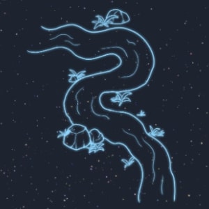 エリダヌス座の解説