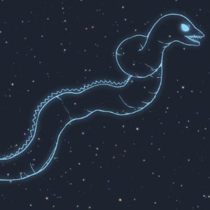 うみへび座の解説