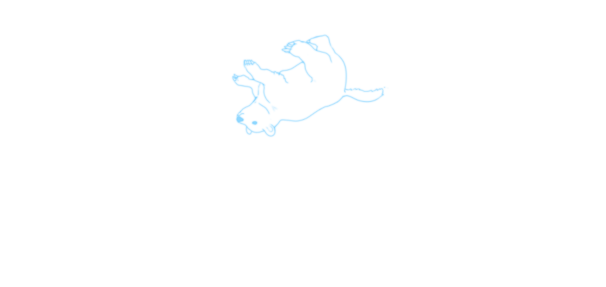 星座絵
