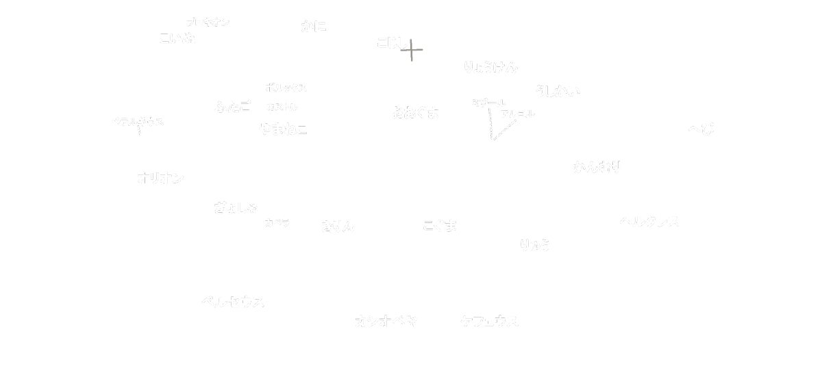星座・恒星名