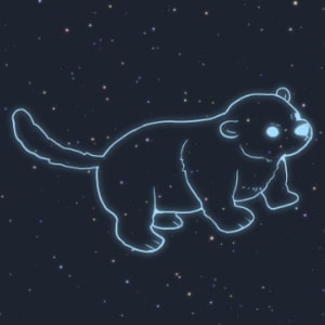 こぐま座の解説